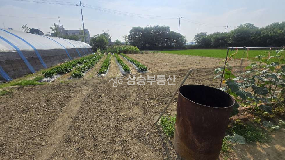 경기 화성병점구 안녕동 화성토지매매 급매 매매 매물번호 10278 사진 3