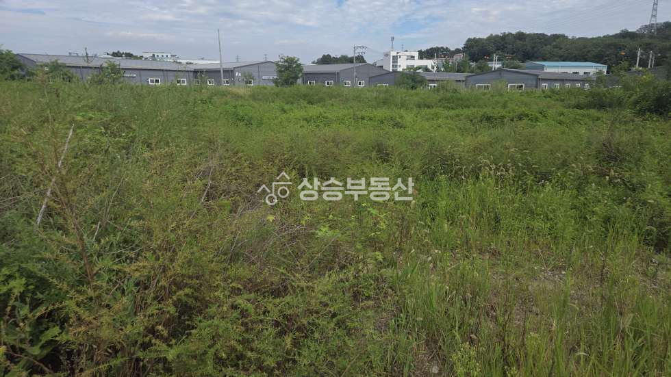 경기 화성만세구 향남읍 동오리 화성토지매매 공장부지 5번부지 ② 매매 매물번호 10351 사진 1