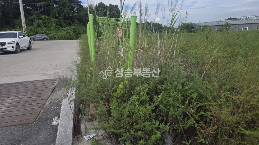 경기 화성만세구 향남읍 동오리 화성토지매매 공장부지 5번부지 ② 매매 매물번호 10351 사진 2