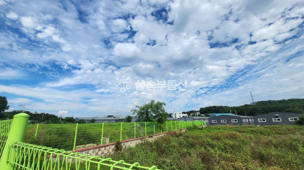 경기 화성만세구 향남읍 동오리 화성토지매매 공장부지 5번부지 ② 매매 매물번호 10351 사진 6