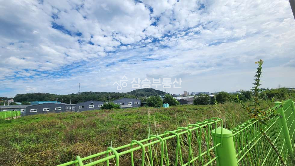 경기 화성만세구 향남읍 동오리 화성토지매매 공장부지 5번부지 ② 매매 매물번호 10351 사진 7